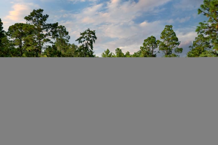 PinehurstNo2_H9_Henderson